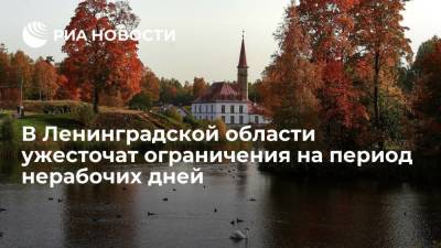 В Ленинградской области ужесточат ограничения на период нерабочих дней с 30 октября - ria.ru - Россия - Ленинградская обл. - Санкт-Петербург