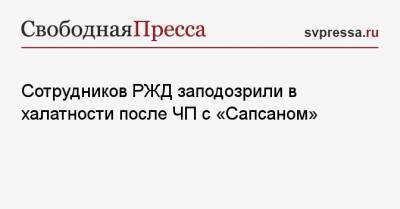 Сотрудников РЖД заподозрили в халатности после ЧП с «Сапсаном» - svpressa.ru - Новгородская обл.