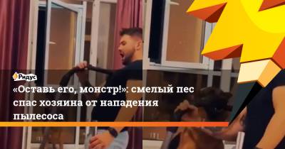 «Оставь его, монстр!»: смелый пес спас хозяина от нападения пылесоса - ridus.ru