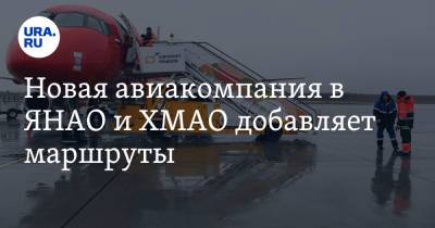 Новая авиакомпания в ЯНАО и ХМАО добавляет маршруты - ura.news - Новосибирск - Ноябрьск - Югра - окр. Янао - Нижневартовск - Тарко-Сале