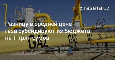 Разницу в средней цене газа субсидируют из бюджета на 1 трлн сумов - gazeta.uz - Узбекистан