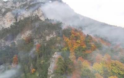 В австрийских Альпах бушует масштабный лесной пожар - korrespondent.net - Австрия - Украина - Испания