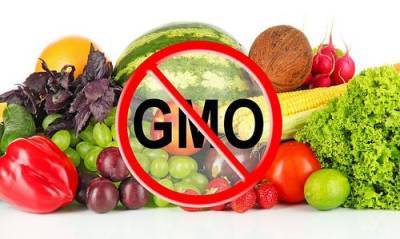 Только в одной Америке более 70% всей переработанной пищи содержит в себе ГМО - argumenti.ru - Россия - США - Экология