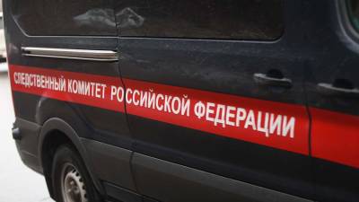 Валерий Горелых - Жительницу Урала заподозрили в убийстве малолетней дочери - iz.ru - Россия - Израиль - Свердловская обл.