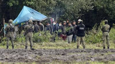 "Кризис верховенства закона": эксперт о мигрантах на белорусской границе - ru.euronews.com - Россия - США - Белоруссия - Франция - Польша - Литва - Голландия