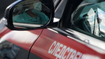 СК возбудил дело после гибели ребенка при падении дерева под Москвой - iz.ru - Москва - Россия - Израиль - Московская обл.
