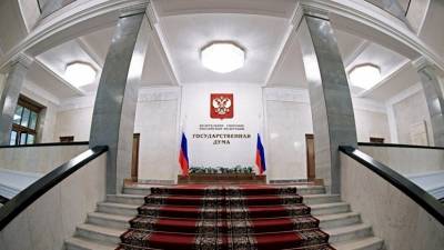 Светлана Бессараб - Марья Львова-Белова - В Госдуме рассказали о стоящих перед новым детским омбудсменом задачах - russian.rt.com - Россия