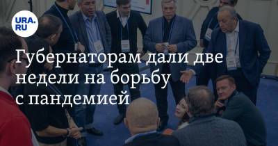 Владимир Путин - Владимир Андреев - Губернаторам дали две недели на борьбу с пандемией - ura.news - Россия