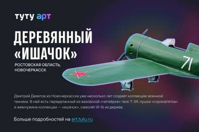 Крылатый «ишачок» из Новочеркасска принял участие во Всероссийском конкурсе - dontr.ru - Новочеркасск