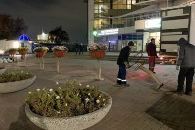 В Курске с улицы Ленина убрали цветочных страусов - chr.mk.ru - Курск
