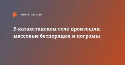 В казахстанском селе произошли массовые беспорядки и погромы - ren.tv - Казахстан - Алматинская обл.