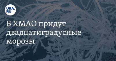 В ХМАО придут двадцатиградусные морозы - ura.news - Югра