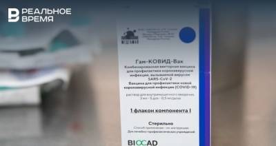 Александр Гинцбург - Маргарита Головатенко - Гинцбург заявил о 100% защите против COVID-19 при вакцинации «Спутник V» вместе с назальной вакциной - realnoevremya.ru