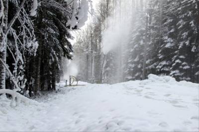Раиса Сметанина - Для лыжных трасс в Коми потребовался искусственный снег - bnkomi.ru - респ. Коми
