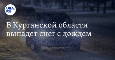 В Курганской области выпадет снег с дождем - ura.news - Россия - Курганская обл. - Курган