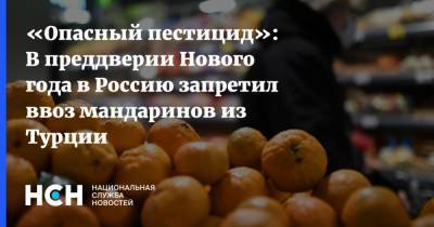 «Опасный пестицид»: В преддверии Нового года в Россию запретил ввоз мандаринов из Турции - nsn.fm - Россия - Турция
