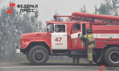 За пожары в тюменских лесах население наказали на 7 млн рублей - fedpress.ru - Россия - Тюмень - Тюменская обл.