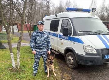 11-летнего мальчика из Череповца пришлось искать кинологам - vologda-poisk.ru - Череповец