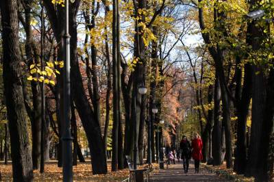 Синоптики обещают петербуржцам теплые выходные - neva.today - Санкт-Петербург