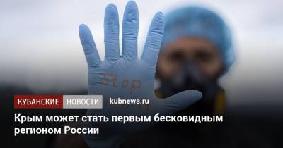 Сергей Аксенов - Крым может стать первым бесковидным регионом России - kubnews.ru - Россия - Крым - Краснодарский край