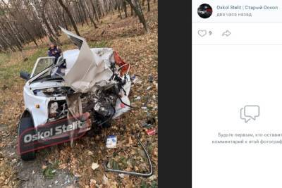 В Белгородской области водитель грузовика устроил смертельное ДТП, пытаясь объехать косулю - mk.ru - Белгородская обл.