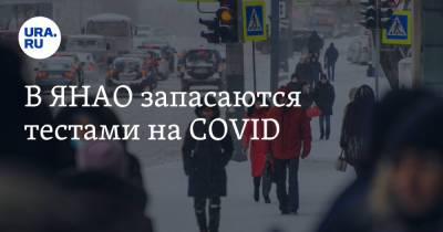В ЯНАО запасаются тестами на COVID - ura.news - окр. Янао