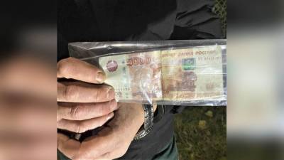 Нетрезвый водитель в Заволжье подкупил врача для подмены результатов теста - vgoroden.ru - Россия - Нижегородская обл.