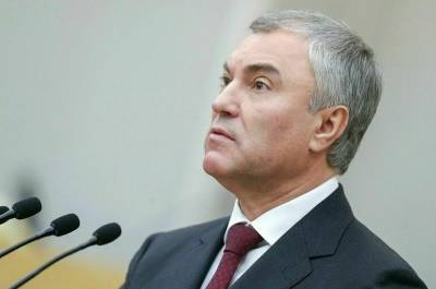 Вячеслав Володин - Антон Силуанов - Володин: регионам нужно компенсировать убытки от консолидированной группы налогоплательщиков - pnp.ru - Астраханская обл. - Оренбургская обл.