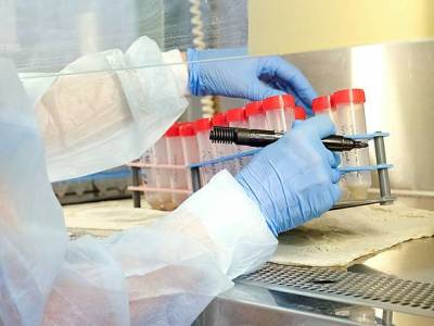 Ленобласть поставила небывалый рекорд по числу заболевших COVID-19 за сутки - rosbalt.ru - Ленинградская обл.