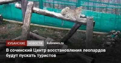 Александр Козлов - Алексей Копайгородский - В сочинский Центр восстановления леопардов будут пускать туристов - kubnews.ru - Россия - Сочи - Краснодарский край