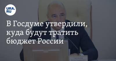 Владимир Путин - Антон Силуанов - В Госдуме утвердили, куда будут тратить бюджет России - ura.news - Россия