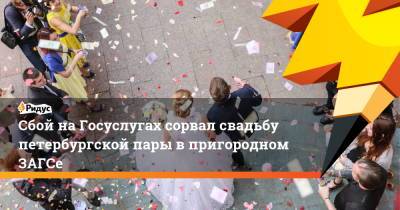 Сбой на Госуслугах сорвал свадьбу петербургской пары в пригородном ЗАГСе - ridus.ru - Ленинградская обл. - Санкт-Петербург
