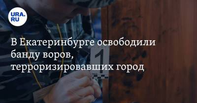 В Екатеринбурге освободили банду воров, терроризировавших город. У одного — супруга в министерстве - ura.news - Екатеринбург - Апсны