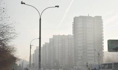 Жители Тюмени пожаловались на смог и запах гари из-за сжигания кур на птицефабрике - og.ru - Тюмень - Тюменская обл.