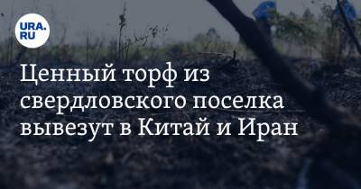 Ценный торф из свердловского поселка вывезут в Китай и Иран. Инсайд - ura.news - Москва - Китай - Иран - Свердловская обл.