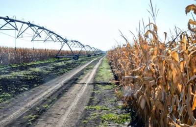 Эридон продолжит увеличивать площади под орошением - agroportal.ua - Украина - Одесская обл.