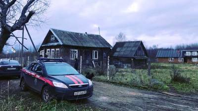 Под Новгородом местные жители расчленили и сожгли мужчину - iz.ru - Россия - Иркутская обл. - Израиль - Новгородская обл.
