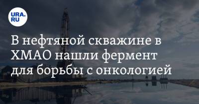 В нефтяной скважине в ХМАО нашли фермент для борьбы с онкологией - ura.news - Россия - Югра