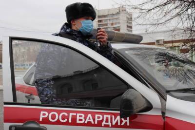 Сотрудники ОВО Йошкар-Олы усмиряют хулиганов и помогают в ДТП - mk.ru - Кировская обл.
