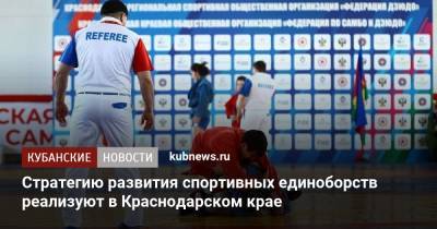 Александр Власов - Стратегию развития спортивных единоборств реализуют в Краснодарском крае - kubnews.ru - Россия - Краснодарский край