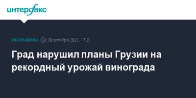 Град нарушил планы Грузии на рекордный урожай винограда - interfax.ru - Москва - Грузия