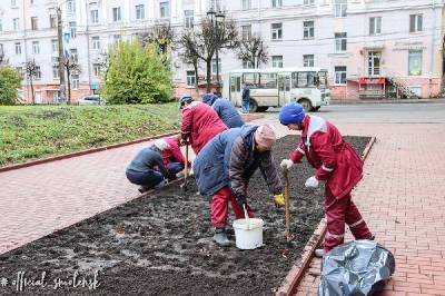 Весной в Смоленске расцветут голландские тюльпаны - rabochy-put.ru - Смоленск - Голландия