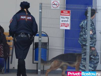 Ростовчан будут штрафовать за выгул опасных собак без намордника и поводка - privet-rostov.ru