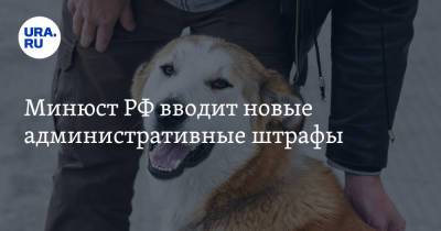 Минюст РФ вводит новые административные штрафы. Список - ura.news - Россия