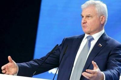 Владимир Плотников - Плотников рассказал, на что будут направлены дополнительные доходы бюджета в 2022 году - pnp.ru