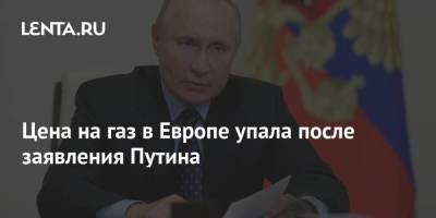 Владимир Путин - Алексей Миллер - Цена на газ в Европе упала после заявления Путина - smartmoney.one - Россия - Лондон