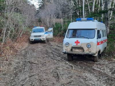 На Сахалине полицейским и медикам пришлось прорываться через дебри, чтобы спасти пострадавшего туриста - sakhalin.info - Россия - район Томаринский