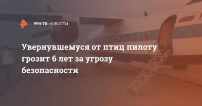Увернувшемуся от птиц пилоту грозит 6 лет за угрозу безопасности - ren.tv - Красноярск