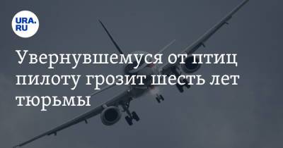 Увернувшемуся от птиц пилоту грозит шесть лет тюрьмы - ura.news - Красноярск