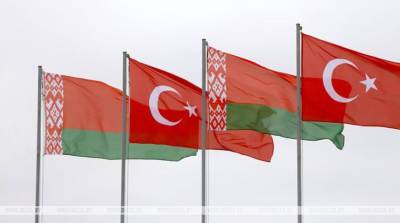 Александр Лукашенко - Лукашенко предложил Турции объединить усилия для эффективного противостояния беспрецедентным вызовам времени - belta.by - Белоруссия - Турция - Анкара - Минск